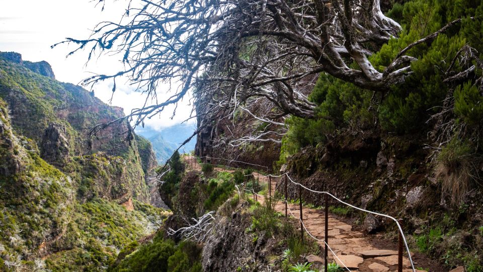Madeira: Stairway To Heaven Pico Areeiro to Pico Ruivo Hike - Return Transportation