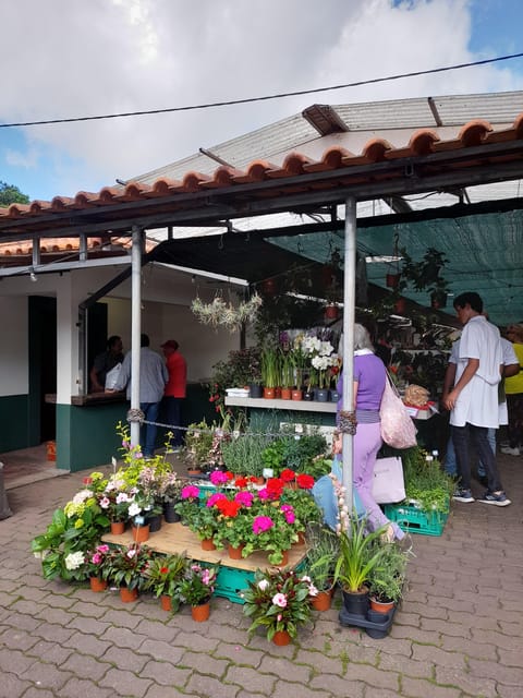 Madeira: Sunday Market in Santo da Serra - Key Points