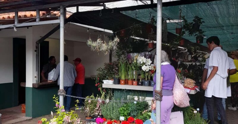Madeira: Sunday Market in Santo da Serra - Discovering Santo da Serra and Its Sunday Market