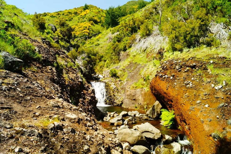 Madeira : Sunrise at Pico do Arieiro + 2 Hikes - PR1 and PR3 - Who Is This Tour Best For?