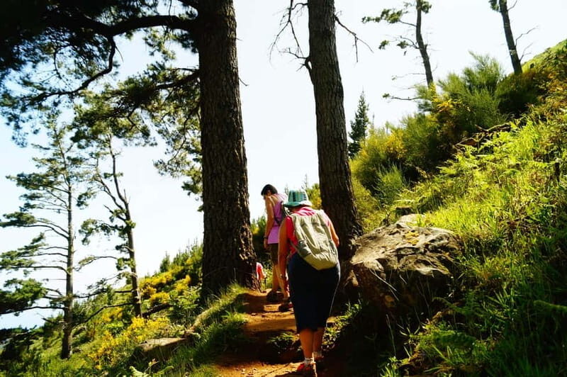 Madeira : Sunrise at Pico do Arieiro + 2 Hikes - PR1 and PR3 - FAQ