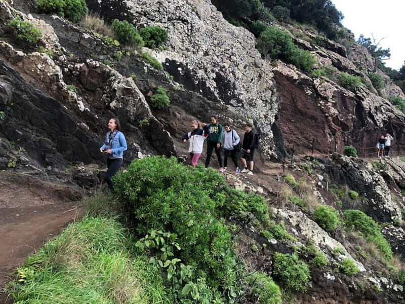 Madeira: Sunrise at Pico do Arieiro & Hike Larano trail - An overview of what makes this tour special
