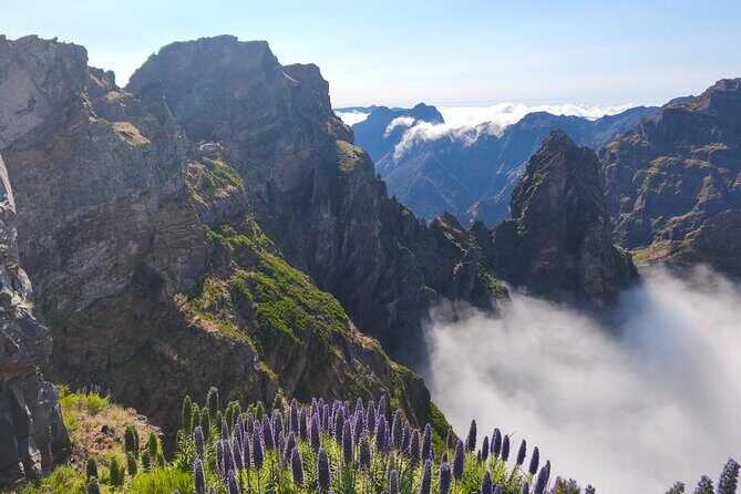 Madeira Sunset at Pico do Arieiro and PR1 Stairway To Heaven - Who Would Enjoy This Tour?