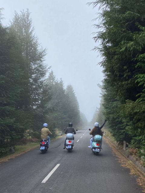 Madeira: Vespa Primavera 125cc 24-Hour Rental - Final Thoughts