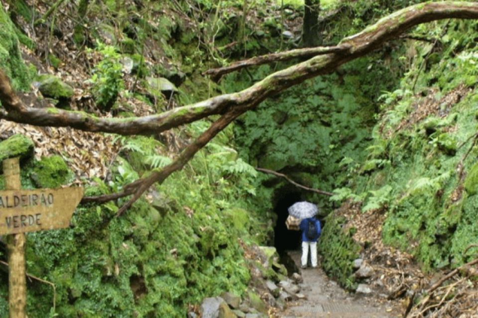 Madeira: Walking Tour - Queimadas / Caldeirão Verde - Trail Description