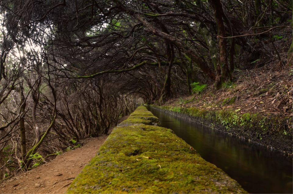 Madeira Walks - Rabacal and the 25 Fountains - Included in the Tour