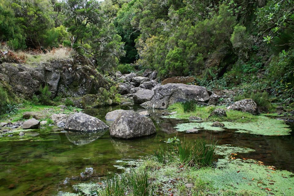 Madeira Walks - Rabacal and the 25 Fountains - Important Information