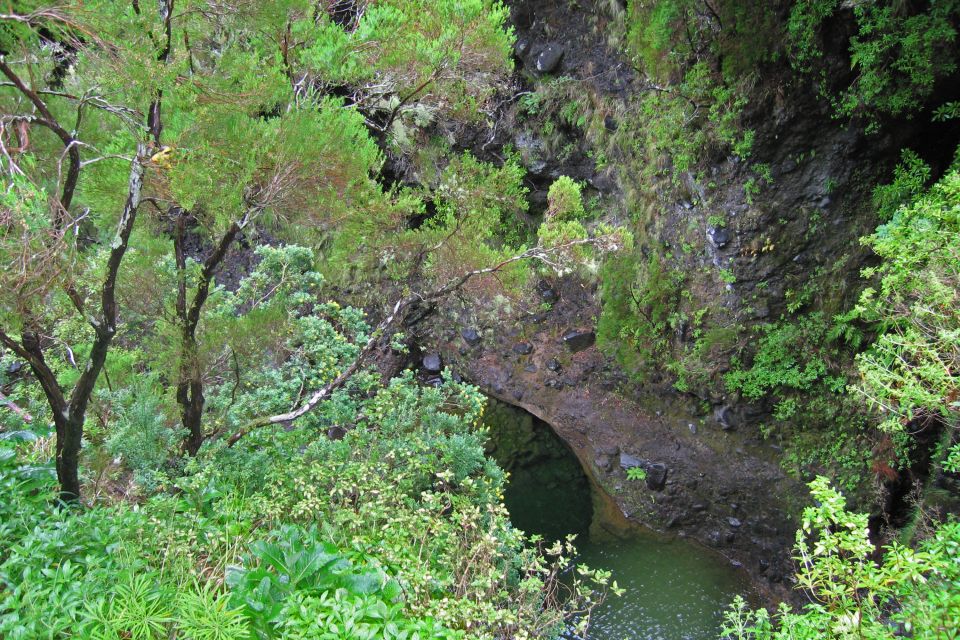 Madeira Walks - Rabacal and the 25 Fountains - Exploring Rabacal Nature Reserve