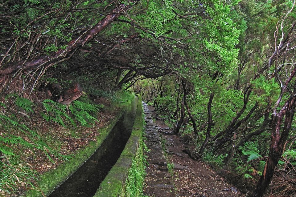 Madeira Walks - Rabacal and the 25 Fountains - Discovering Enchanting Springs and Waterfalls