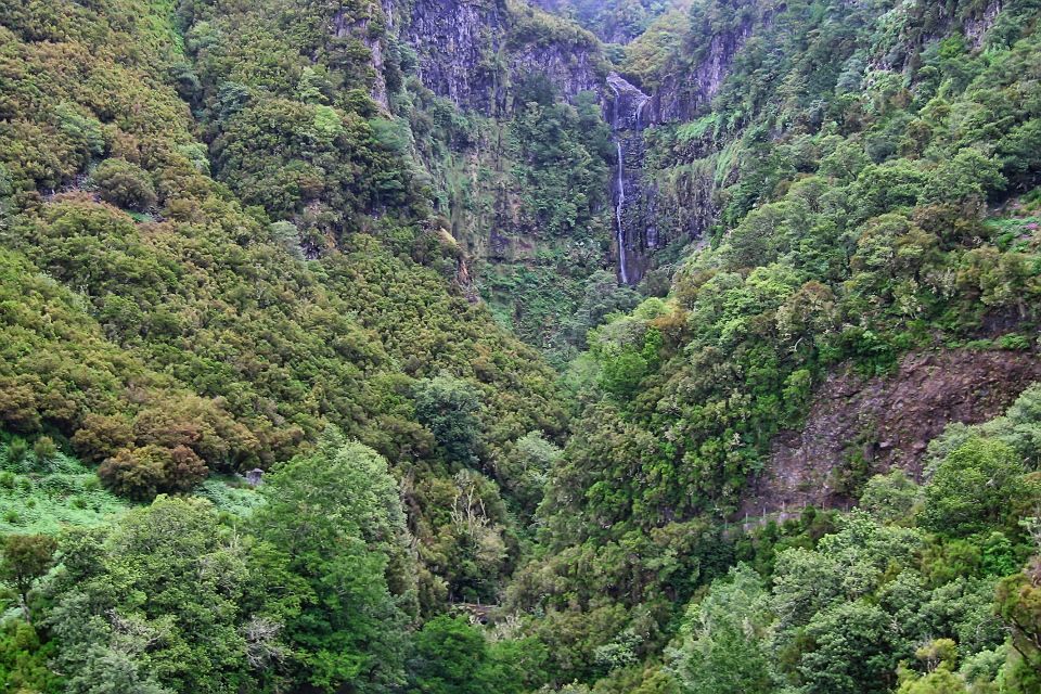 Madeira Walks - Rabacal and the 25 Fountains - Taking in Laurisilva Forest