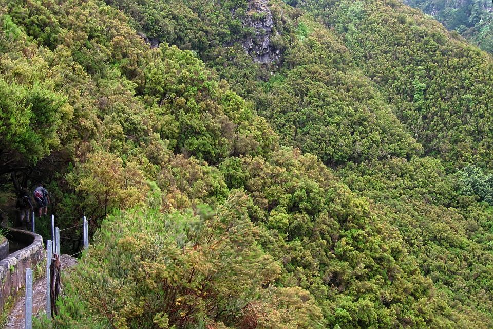 Madeira Walks - Rabacal and the 25 Fountains - Frequently Asked Questions