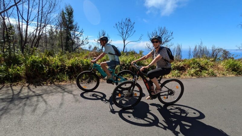 Madeira West coast: Guided Sightseeing E-Bike Tour - Why This Tour Offers Great Value