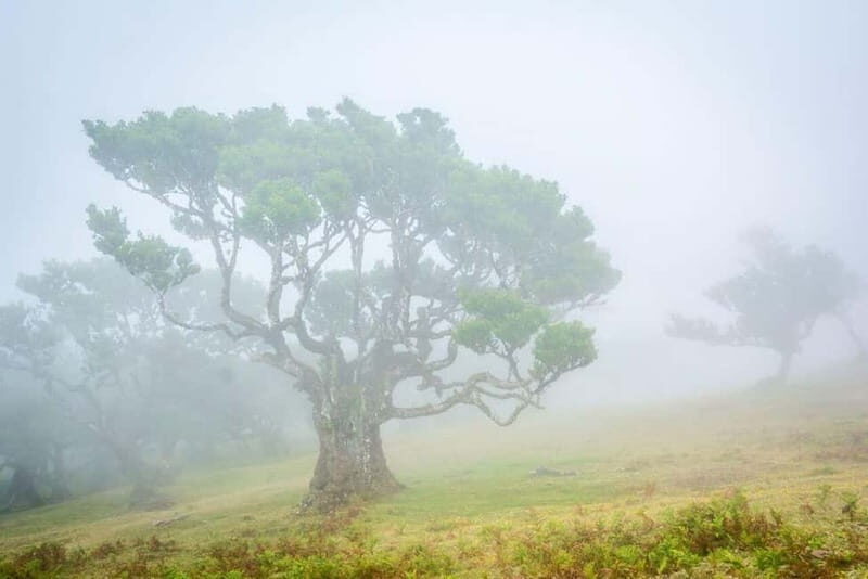 Madeira: West Island Day Trip - Final Thoughts — Who Is This Tour For?