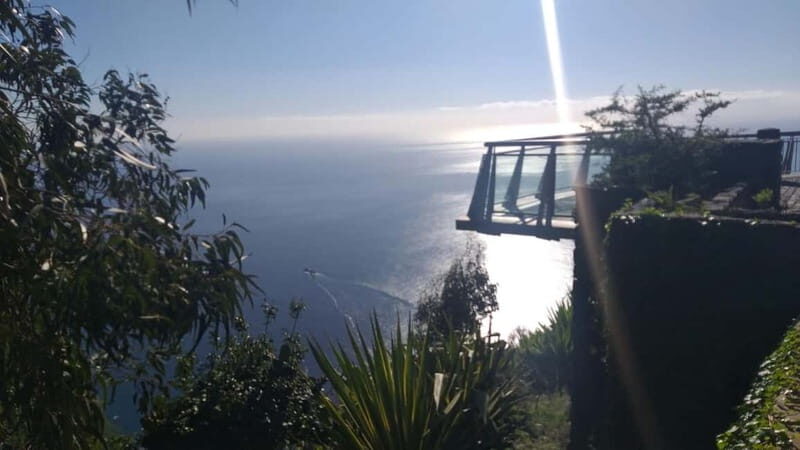 Madeira West Island Full-Day Tour with Fanal Forest - Final Thoughts