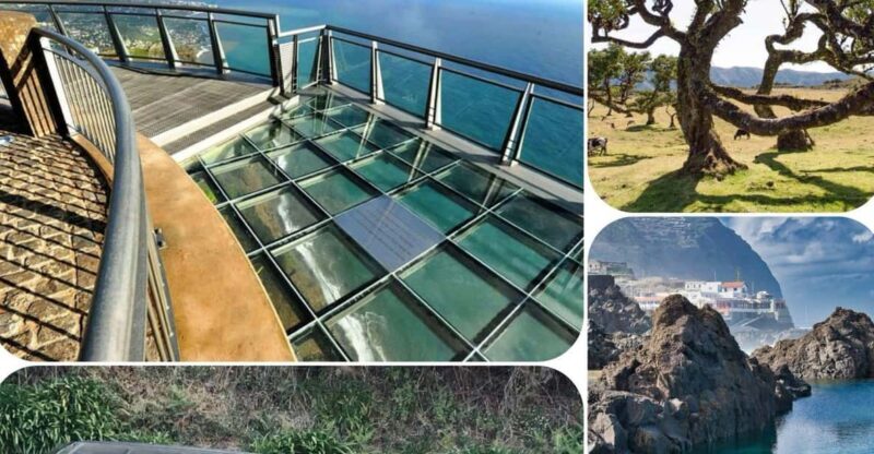 Madeira: West Tour With Guide Fanal Forest SykWalkExperience - An In-Depth Look at the Madeira West Tour