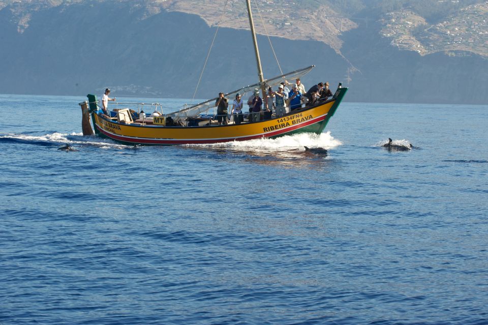 Madeira: Whale Watching Excursion in a Traditional Vessel - Booking and Cancellation Policy