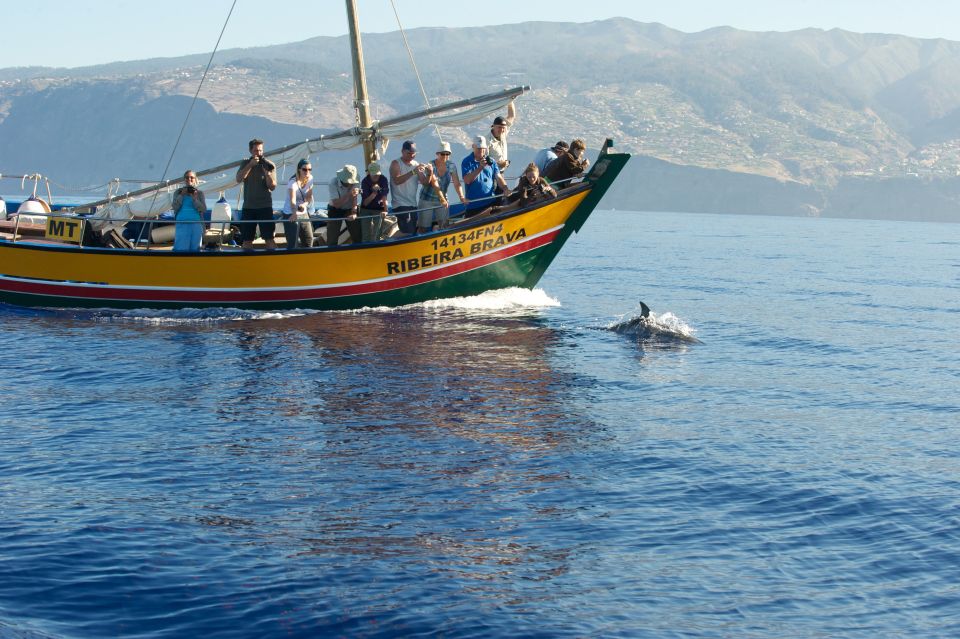 Madeira: Whale Watching Excursion in a Traditional Vessel - Frequently Asked Questions