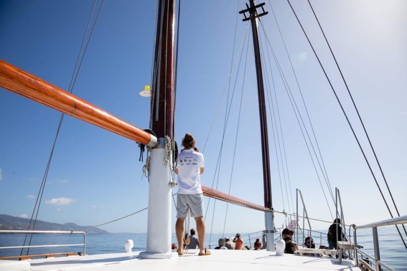 Madeira : Whales and Dolphins wooden boat excursion - Authentic Value and Who This Tour Suits Best