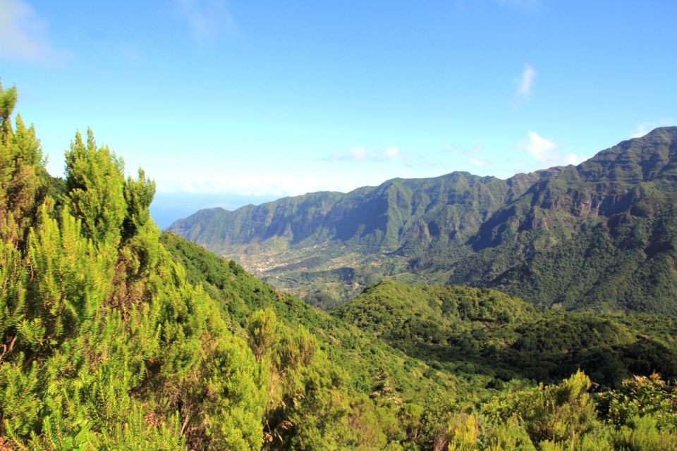 Madeira: Wine Safari Jeep Tour With Local Guide - Key Points