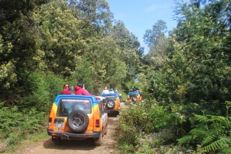Madeira: Wine & Tapas, Cabo Girão Skywalk 4x4 Jeep Adventure - Pricing and Value