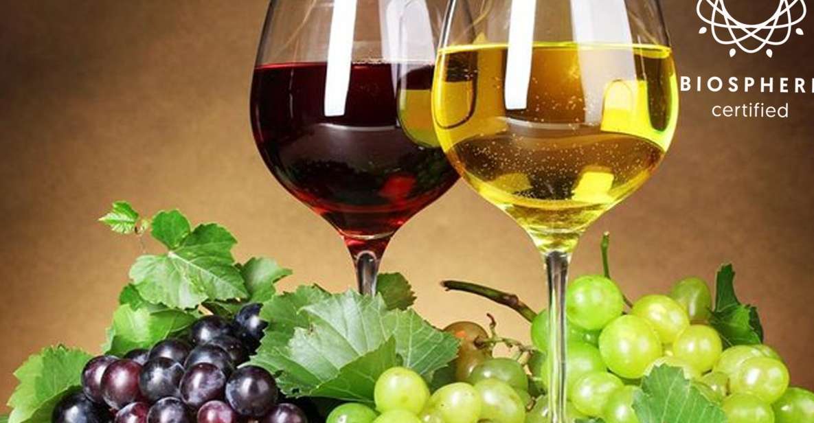 Madeira: Wine Tasting Experience Honey Museum and Cabo Girão - Group Size and Availability