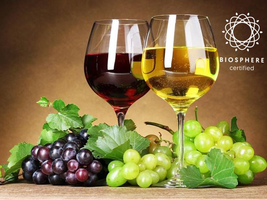 Madeira: Wine Tasting Experience Honey Museum and Cabo Girão - Honey Museum and Honey Tasting