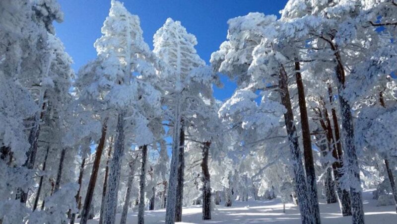 Madrid: 4-Hour Snowshoe Hiking - Hiking Difficulty and Trails