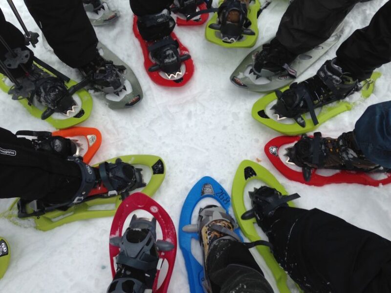 Madrid: 4-Hour Snowshoe Hiking - Safety and Participation