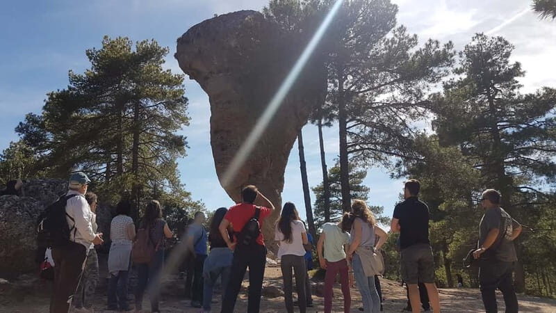 Madrid: Cuenca and Enchanted City Day Tour - What to Expect from This Full-Day Tour
