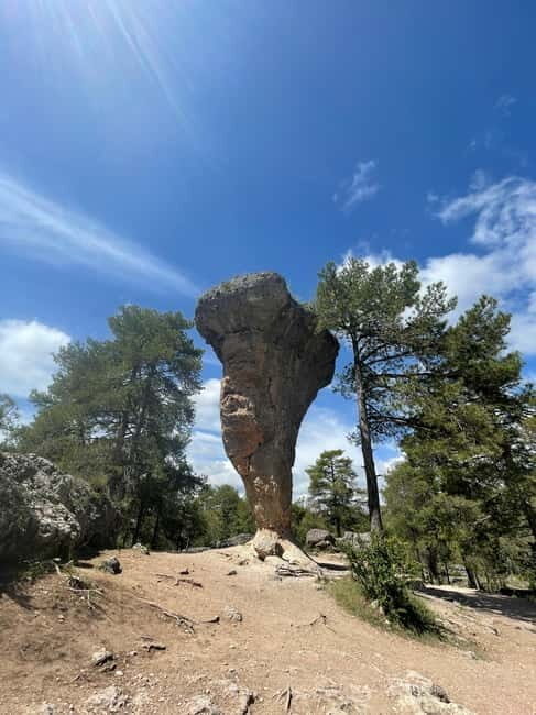 Madrid: Cuenca and Enchanted City Day Tour - Authentic Insights from Travelers