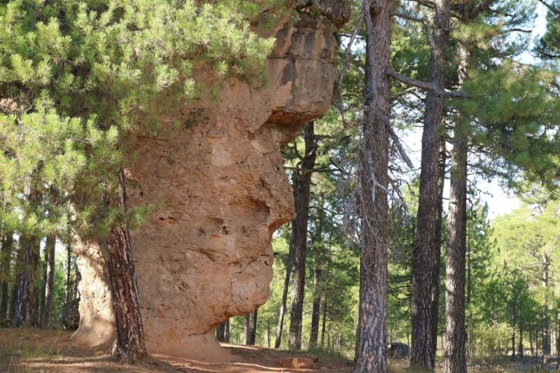 Madrid: Cuenca Day Tour With or Without Enchanted City - Key Points