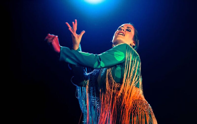 Madrid: Flamenco Show at Café Ziryab - A Detailed Look at the Flamenco Experience