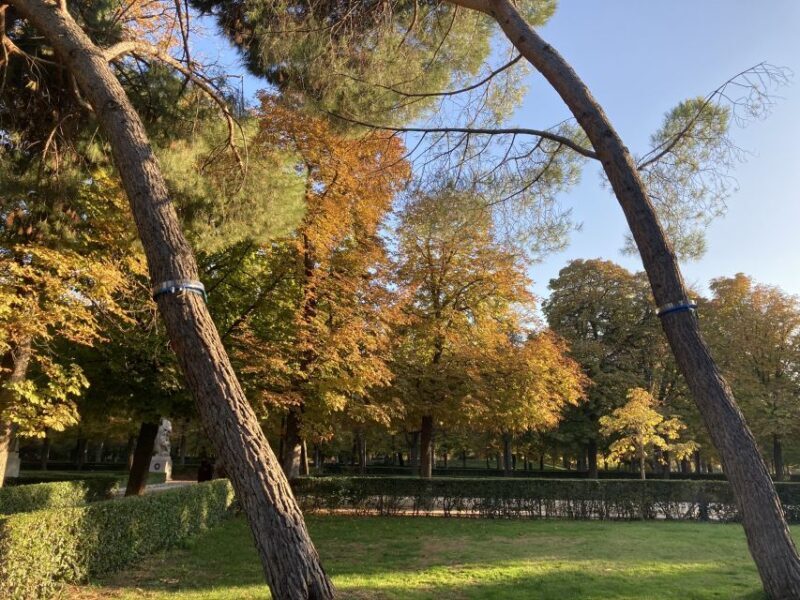 Madrid: Flow Yoga class in Retiro Park - Final Thoughts