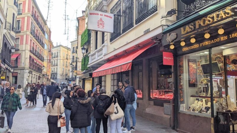 Madrid: Guided Tour in Urban and Historic Centre - Tour Experience