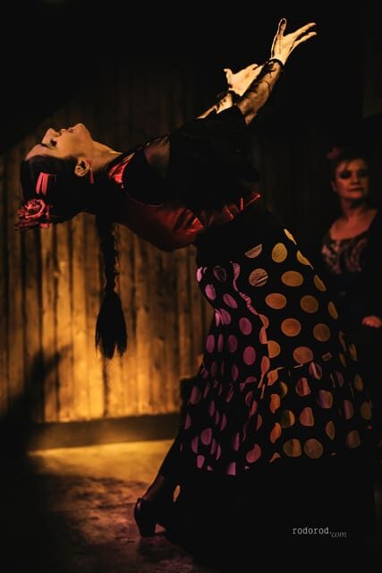 Madrid: Local Flamenco Show at El Cortijo - Introduction: An Authentic Flamenco Night in Madrid