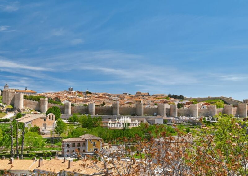 Madrid: Luxury Tour Ávila & Segovia - Marveling at the Roman Aqueduct