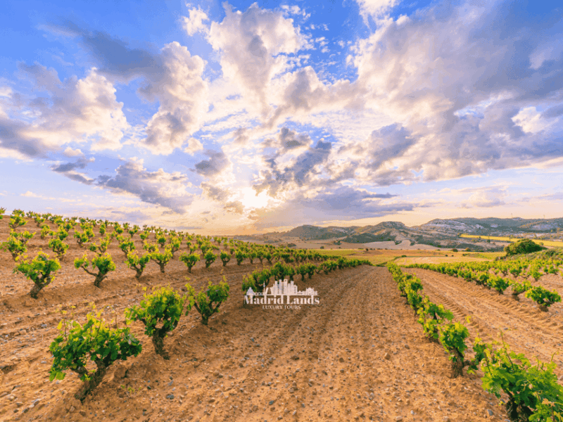 Madrid: Luxury Winner and Ribera Del Duero Tour - Itinerary and Activities