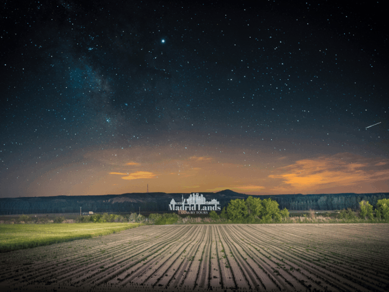 Madrid: Luxury Winner and Ribera Del Duero Tour - Why Choose This Luxury Tour