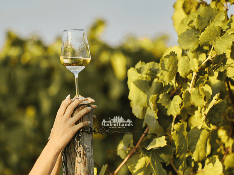 Madrid: Luxury Winnery & Toledo Tour - Booking and Reservations