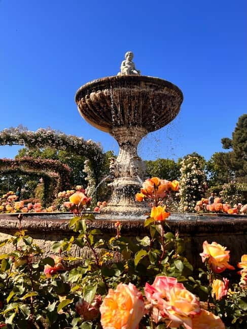 Madrid: Magic Retiro Park Bike Tour - A Closer Look at the Retiro Park Bike Tour