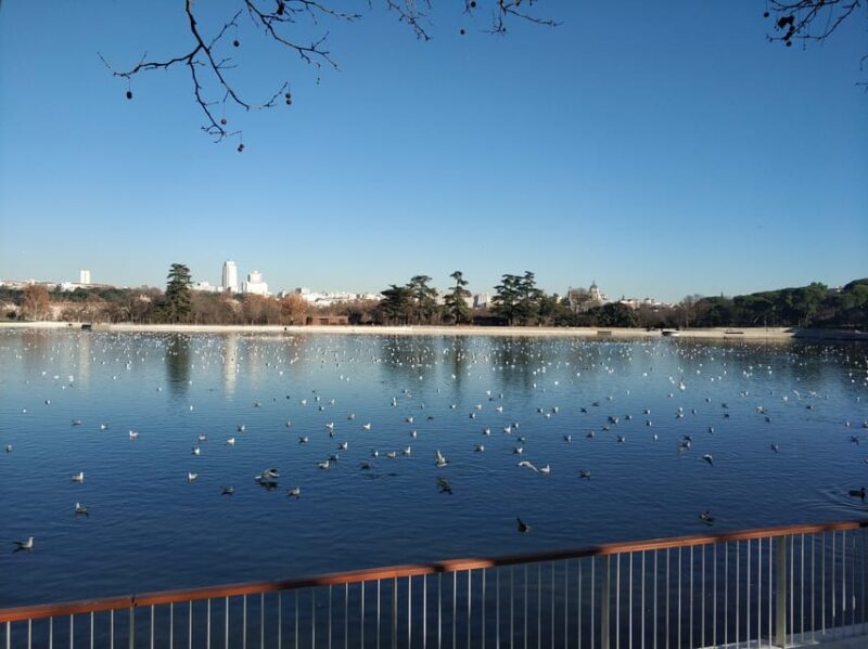 Madrid: Private Royal Palace Tour With Iberian Ham and Wine - Tour Highlights