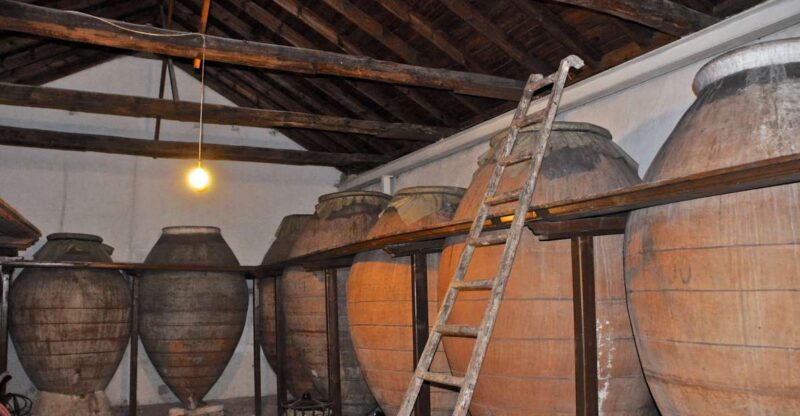 Madrid: Regional Madrid Wineries Guided Tour and Tastings - Itinerary and Highlights