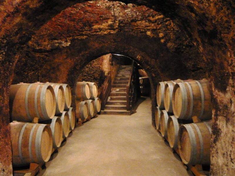 Madrid: Regional Madrid Wineries Guided Tour and Tastings - Transportation and Guide