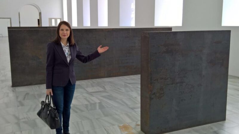 Madrid Reina Sofia Museum & Picassos Guernica Private Tour - Architectural Features
