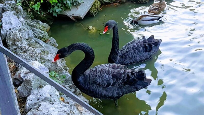 Madrid: Retiro Park Guided Tour with a Photographer - Key Points