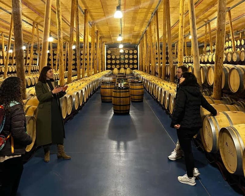 Madrid: Ribera del Duero Wine Tour with Tastings and Lunch - Discover the Flavors of Ribera del Duero on a Day Trip from Madrid