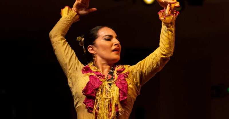Madrid: The Villa Flamenco Show Tablao - Key Points