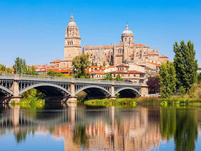 Madrid: Tour in Avila & Salamanca - Who Would Enjoy This Experience?