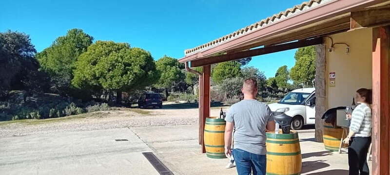 Madrid Wine Tour: Visit Two Wineries with Tastings - Key Points