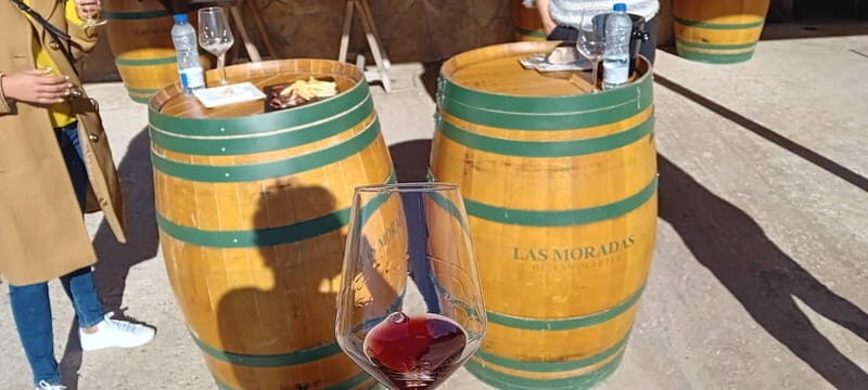 Madrid Wine Tour: Visit Two Wineries with Tastings - Final Thoughts